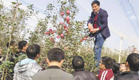 ��ũ�񳢵���ƻ����ͷ