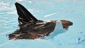 �������η�������Ǳ����