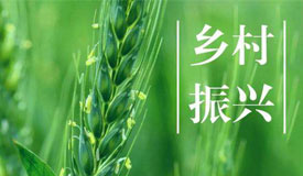 ϰ��ƽ���������µ���������ɫ��չ֮·