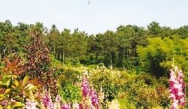 �������ذ��ط�