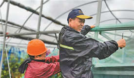 ȫ���������վ��ֺ��ֺ�ָ�����