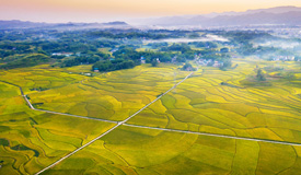 ������ƽ�Ȼ�ʱ��