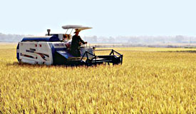 �����ڻ��������С���Լ������ʽ����