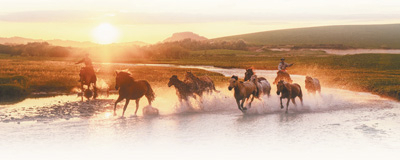 ������ԭ ���������������뱱���������Ȼ��ԭ������Ϊ��������һ��ԭ�������Ķ���