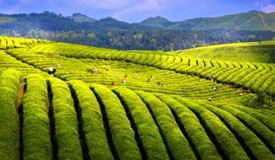 2020������һ���ļ�����