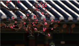 ����������֮��÷������ ɽ������