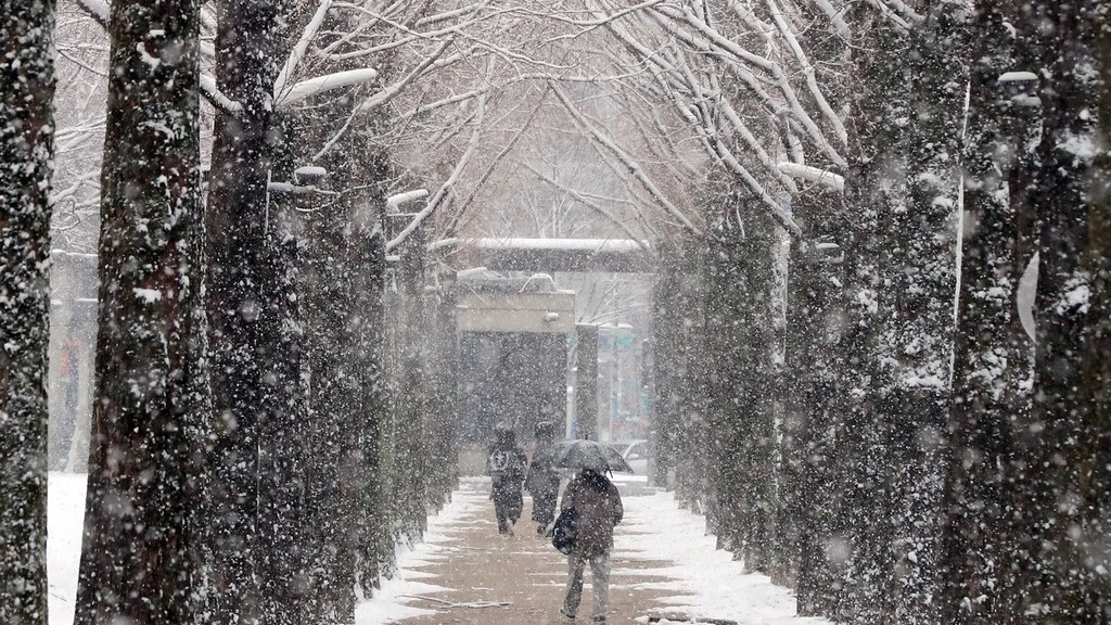 ��������ӭ����ѩ �����ɫͯ������