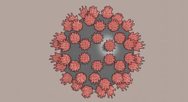 �����ģ�⿴���ܿ�����ɶӰ��