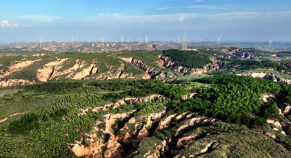 ������ľ��ʮ����̬��Ǩ