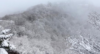 雪落崆峒山