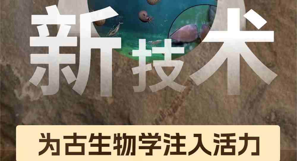 新技术为古生物学注入活力