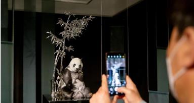 中国馆亮相韩国光州双年展