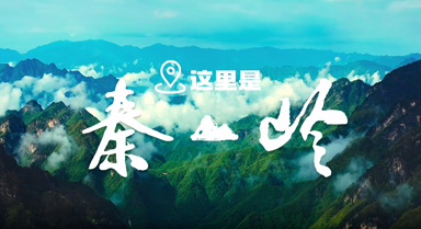롰涯ʮʱ