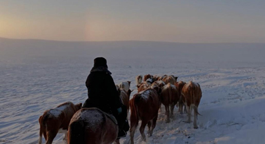 内蒙古：马背警队暴雪中寻回走失牛群