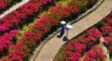 ���������պ÷��