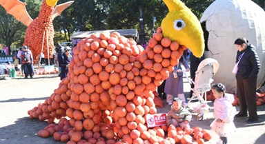 北京：秋日出游正当时