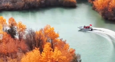 新疆胡杨林好像童话场景