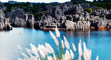 碧水映奇峰如湖中石森林