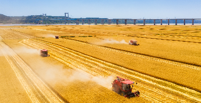 科技强农粮满仓