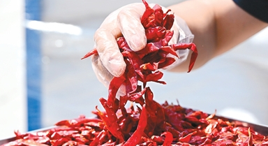 一位非洲大使眼中的“進博機遇”