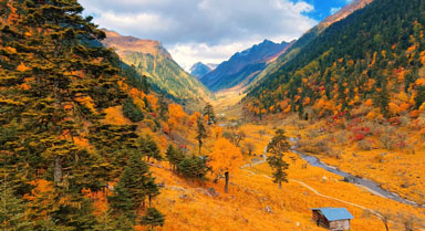 雲南怒江塞瓦龍巴牧場山林盡披絢彩