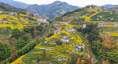 安徽歙县:山乡景色美