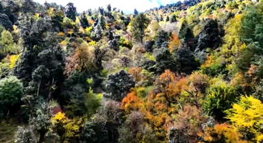 初冬的大理山野 藏着色彩斑斓的画卷