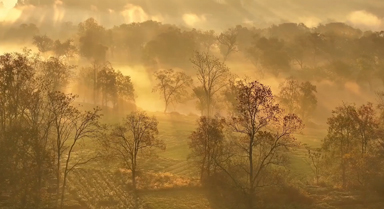 安徽休宁:水墨溪洲入画来