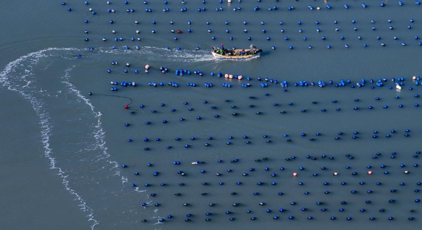 福建：冬韵斑斓