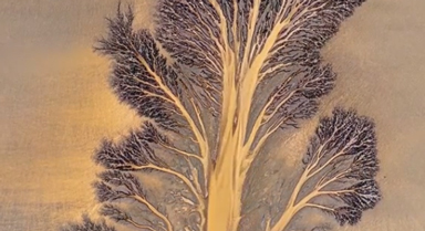 大自然的杰作！钱塘江又现“潮汐树”