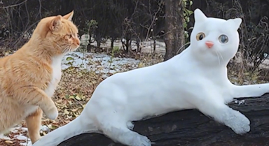 大爷在公园用积雪堆出"雪猫"和"雪鼠"