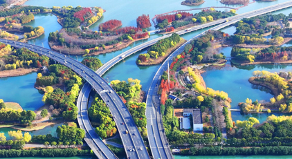 江苏苏州：虎丘湿地色彩斑斓美如画