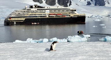 南极旅游，能"带走"当地的小动物吗?
