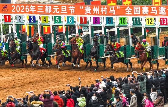 贵州“村马”迎元旦