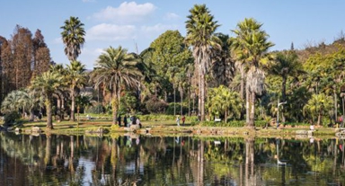 云南昆明：冬日绿意暖