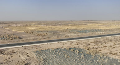 甘肃金塔:草方格中锁“黄龙”