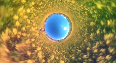 换个视角看油菜花盛开,能有多壮观