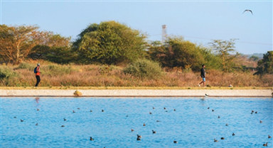 携手应对全球水挑战