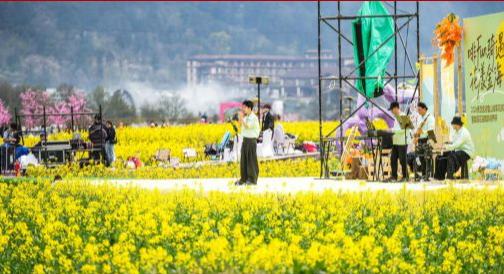 贵州贵定:金色花海绽春光
