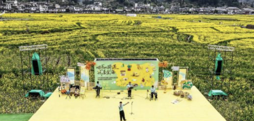 贵州贵定:金色花海绽春光