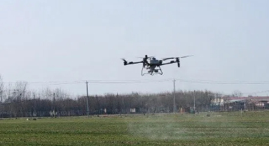 河北:科技护航小麦返青