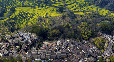 江西婺源:篁岭景区游人如织