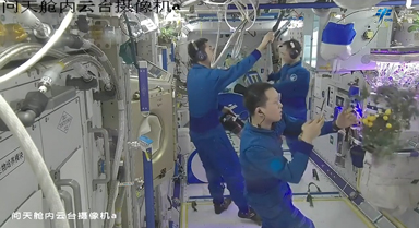 天宫TV|“太空番茄”大丰收!