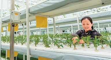 农业种植走出“科技范”