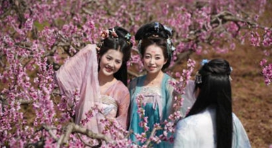 西安长安：踏春赏花正当时