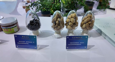 在三亚，寻找“种子”的答案