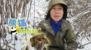 在“熊猫故乡”巡山 我们发现了……