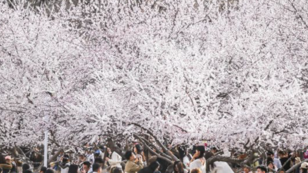 春日经济绽放别样活力