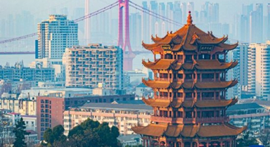 荆楚江天阔 长虹入画来