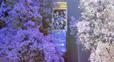 观云台丨最好什么季节去云南？